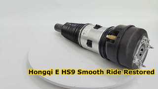 2902115QR01 Front Air Suspension Shock Assembly Fit Hongqi E-HS9 2021-2025